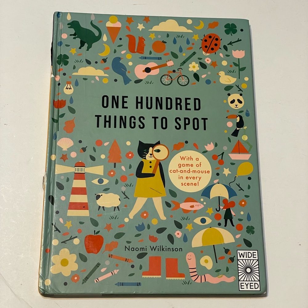 One Hundred Things to Spot (Learn with Little Mouse) by Wilkinson, Naomi Book